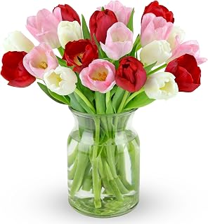 Benchmark Bouquets Tulips Valentine Bouquet - 20 Fresh Red, White & Pink Tulips with Glass Vase - Valentine's Day Flower Delivery Gift for Her