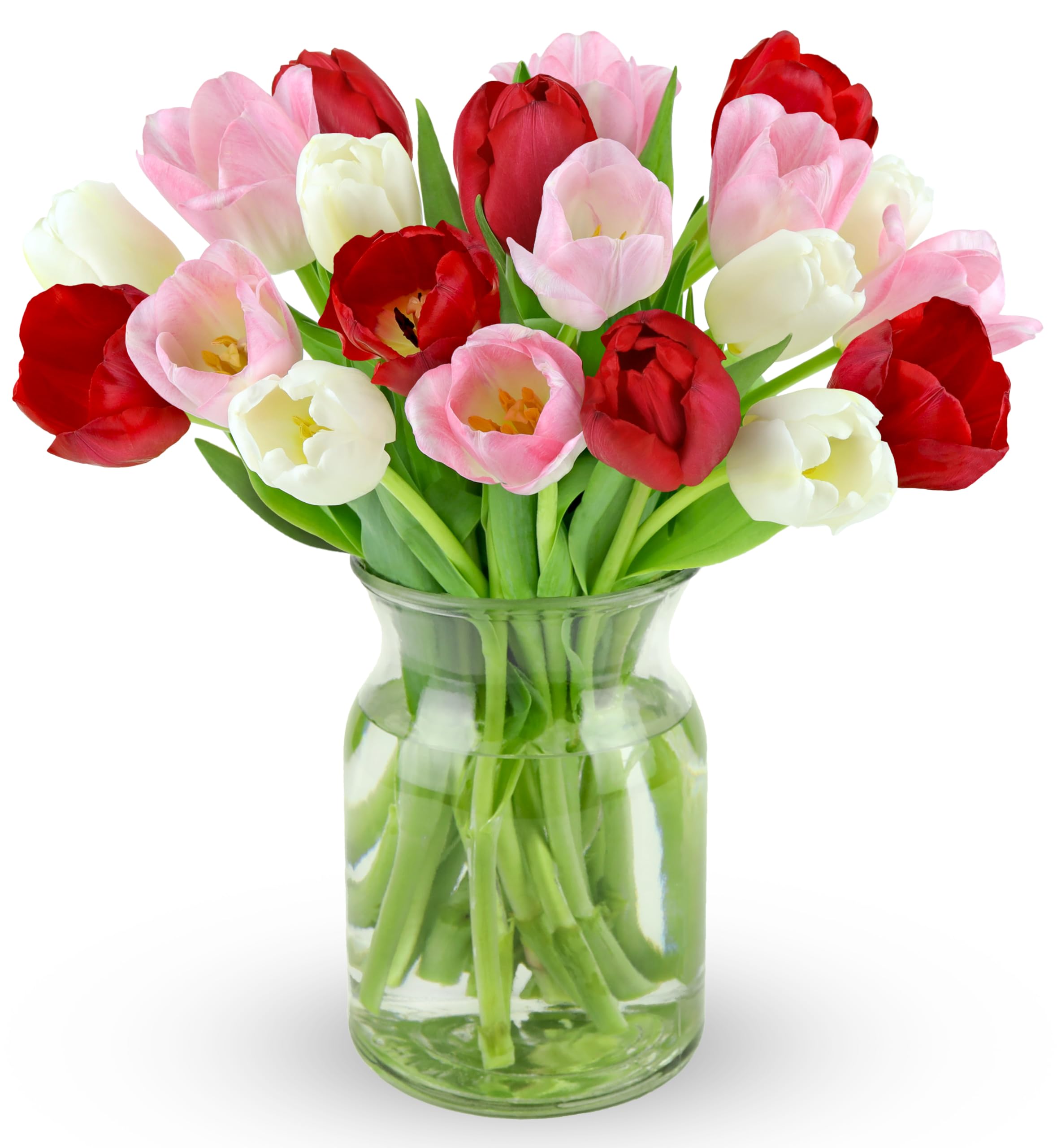 Benchmark Bouquets - 20 Stem Seasonal Tulips (Glass Vase Included) - Fresh Flowers for Next Day Delivery - Gift for Birthday, Anniversary, Get Well, Congratulations, Valentine's Day