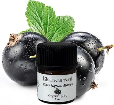 Blackcurrant Absolute Oil, Organic, Pure, Natural, 1mL
