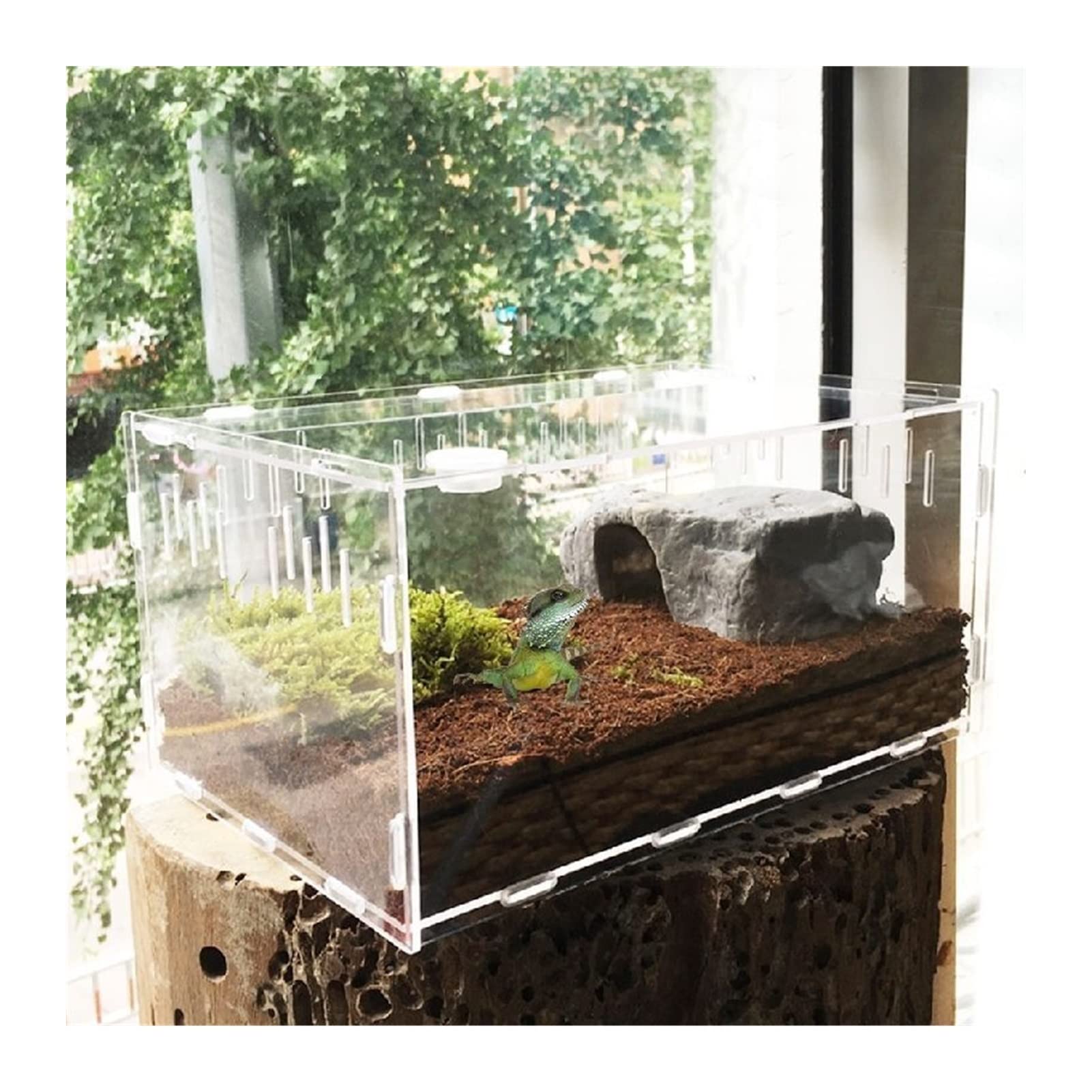 Serbatoio di tartaruga Scatola di rettili acrilici trasparenti for ragni tartaruga di lucertola allevate insetti di insetti che scivolano piccolo terrario for animali domestici per Interni Esterni ( C