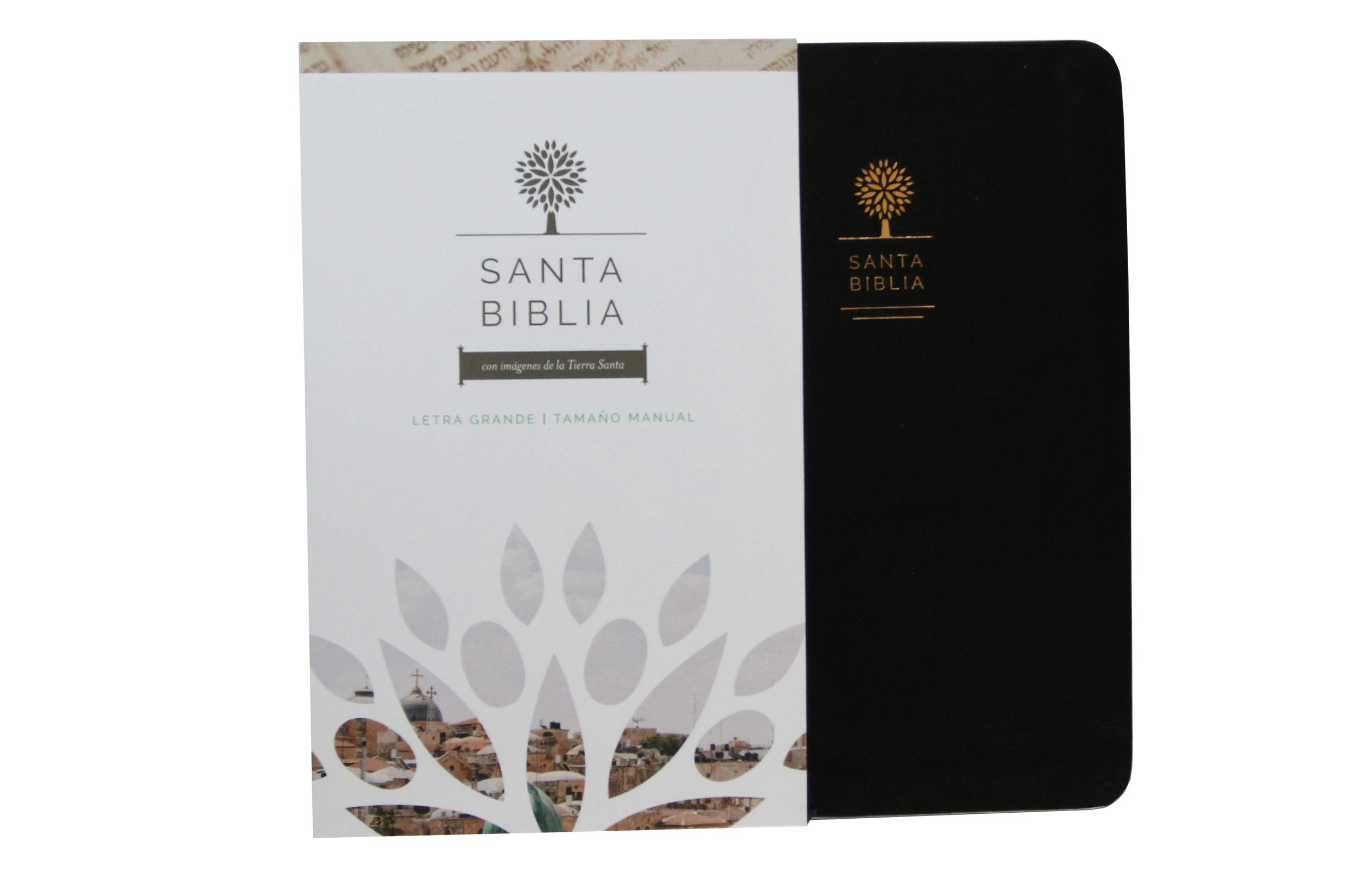 Biblia Reina Valera 1960 letra grande. Símil piel color negro, tamaño manual / Spanish Holy Bible RVR 1960. Handy Size, Large Print, Black Leathersoft