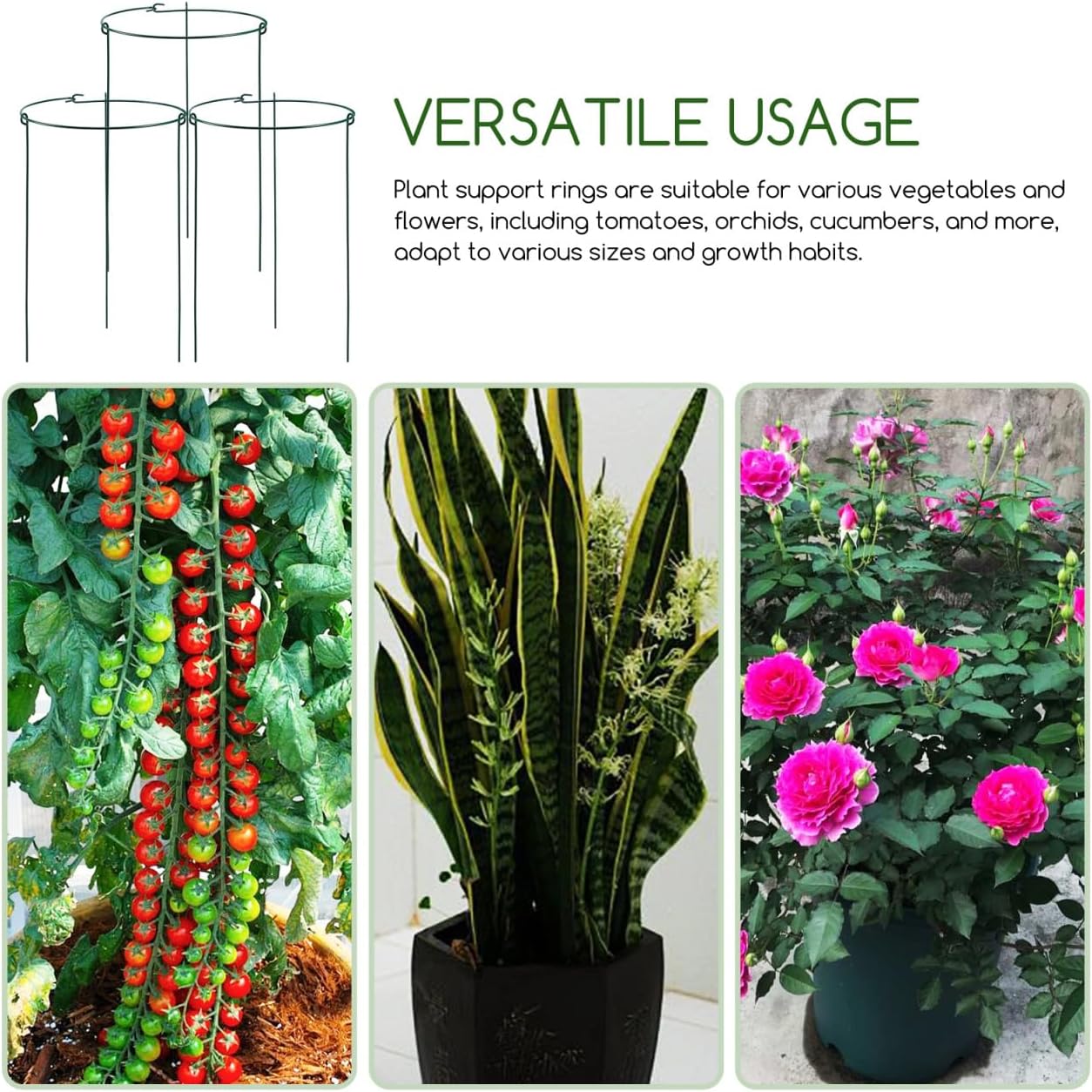 SUPVOX Climbing Support Frame: Green Iron Plant Support Stakes for Indoor and Outdoor Plants Multi-Functional Garden Trellis for Flowers and Vegetables Easy Installation Garden Accessories