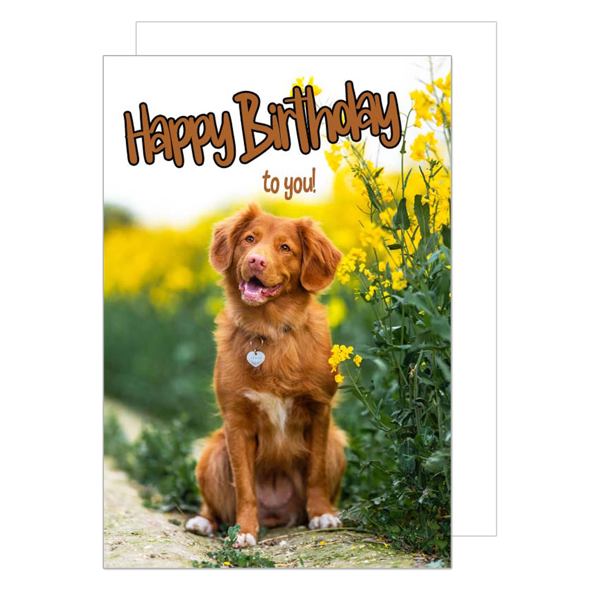 Premium Verjaardagskaart Met Envelop – Happy Birthday Man Vrouw – Seidel G3767 SW025
