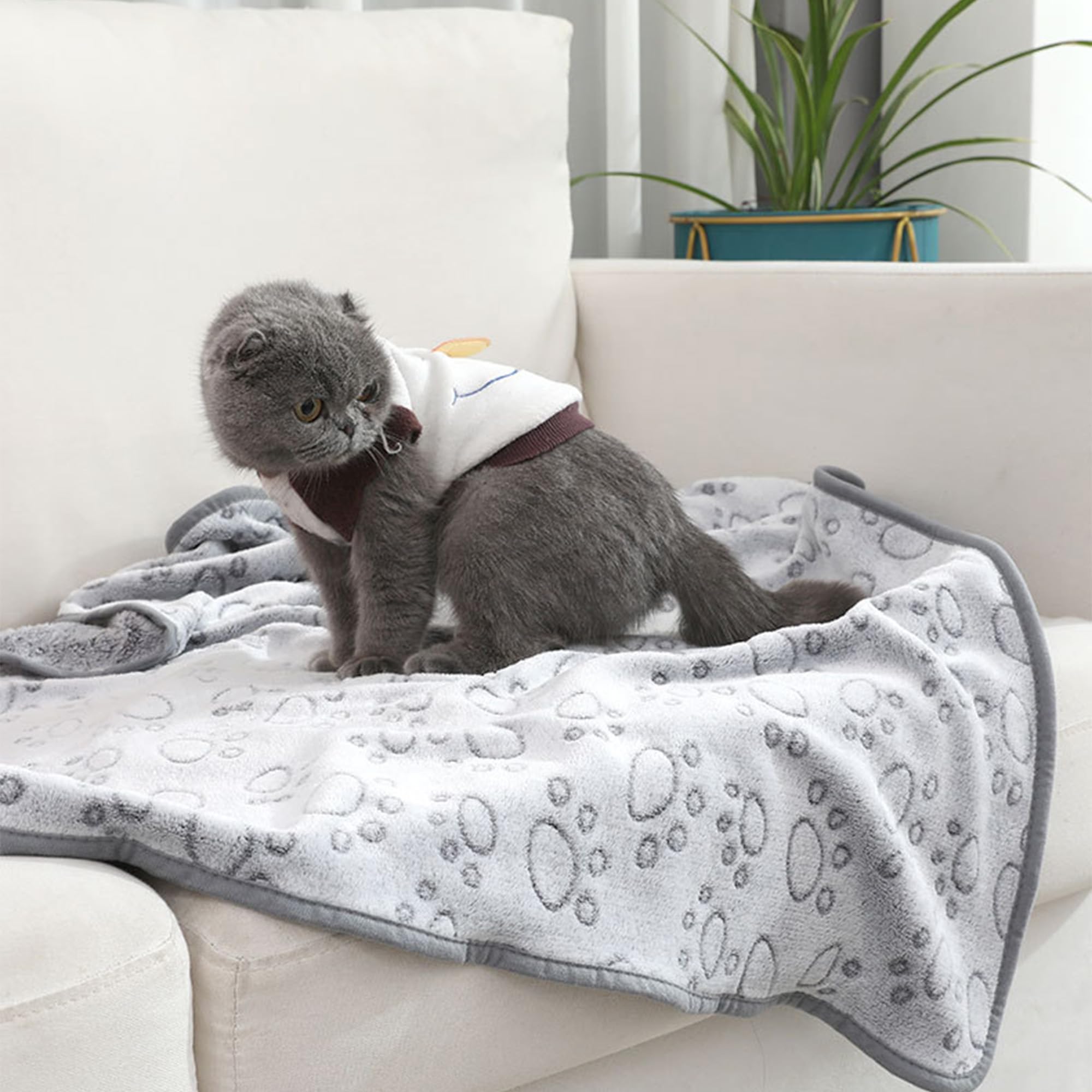 2 mantas para perros y gatos, mantas lavables para mascotas, mantas protectoras para cachorros, fundas protectoras de sofá, colchonetas para dormir, para sofá, cama, coche, interior (200 x 160