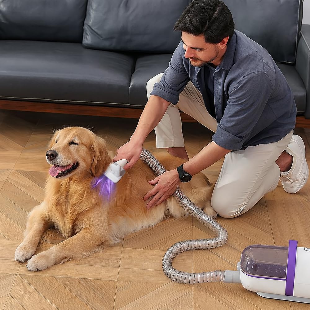 Aspirapolvere per Cani con Spazzola – Dispositivo di Toelettatura e Rimozione Peli 2 in 1, Silenzioso e Potente – Aspirazione Peli Animali Domestici per Casa, Divano e Auto, con Accessori Inclusi