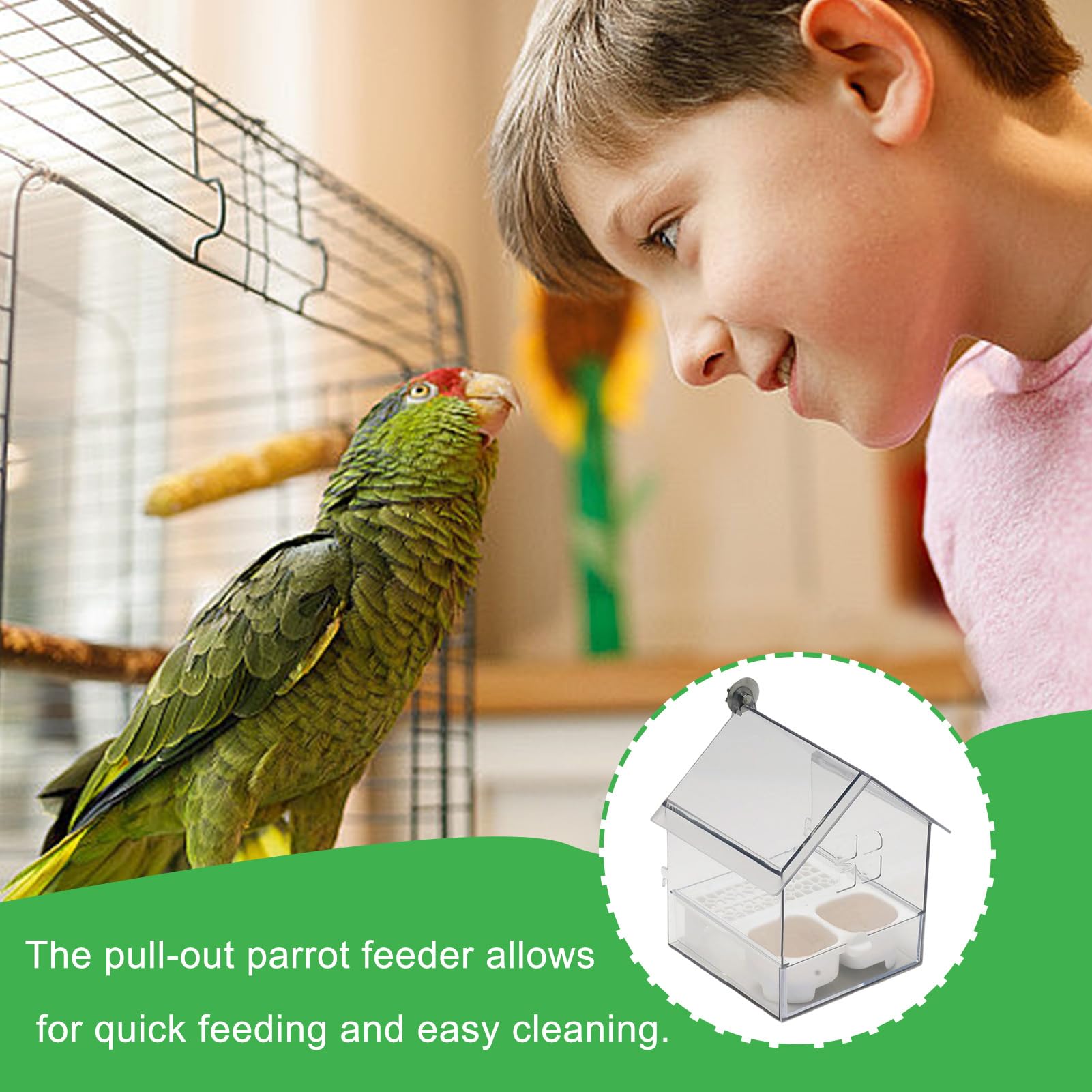 Mangiatoia trasparente per uccelli | Mangiatoia per acqua per parrocchetti, vasca da bagno trasparente per fringuelli, colibrì, patio, balcone, recinzione, giardino, amanti degli animali