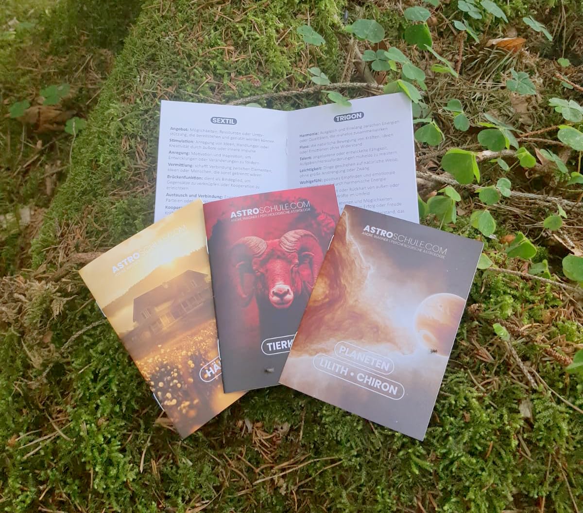 Astrologische Lernkarten & Orakelkarten – 48 Karten + 4 Booklets | Astrologie Lernen und intuitiv deuten