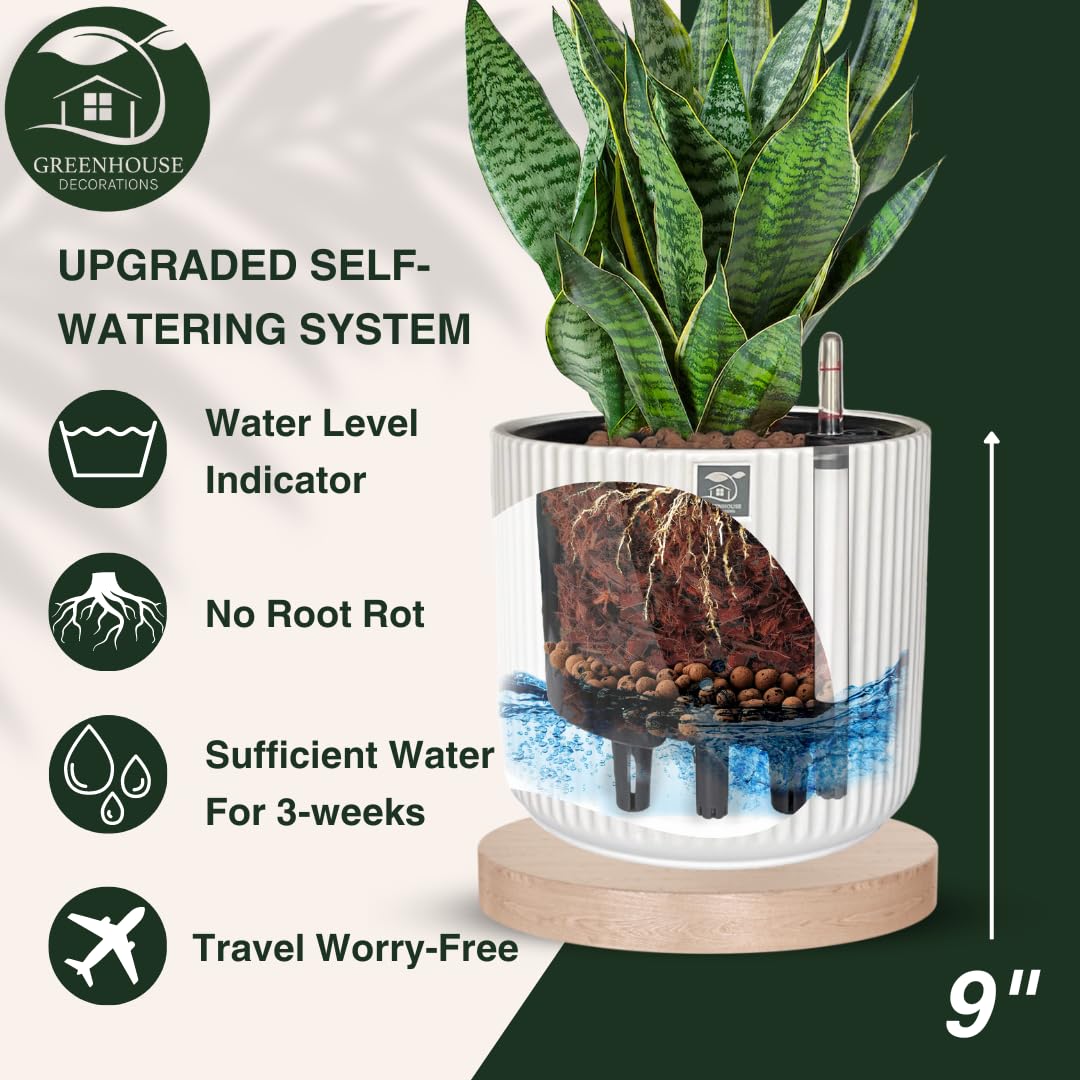 https://m.media-amazon.com/images/I/71VxWHCpeGL.jpg