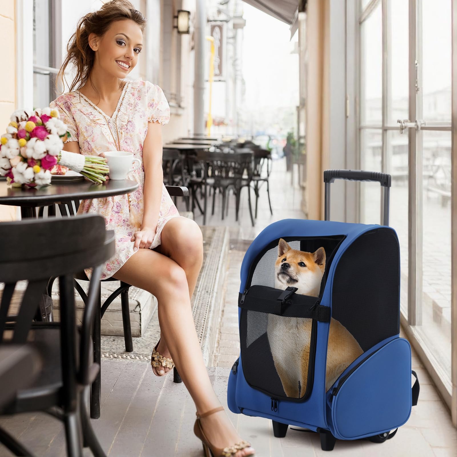 Mochila con ruedas para mascotas, mochila de viaje para mascotas con ruedas dobles y asa telescópica, transportador de mascotas con ruedas, transportador de viaje para mascotas para gatos