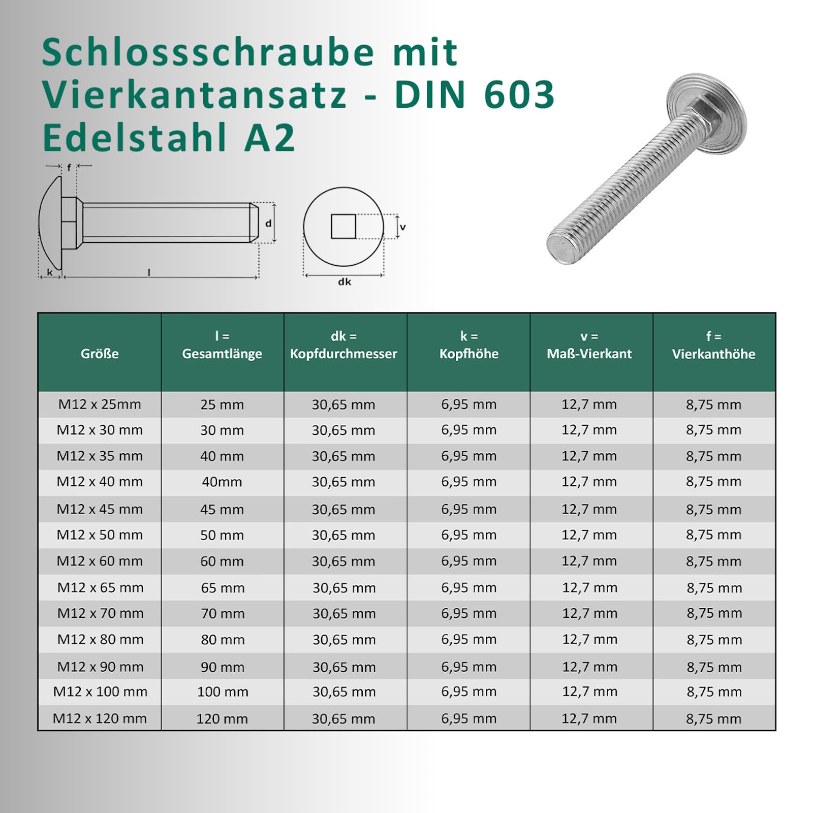 DSM – Tornillos M12 x 100 mm según DIN 603 – Incluye tuerca hexagonal M12 DIN 934 y arandela DIN 125 – Acero inoxidable A2/V2A – Tornillos de cabeza redonda plana con cuello cuadrado – 2 unidades