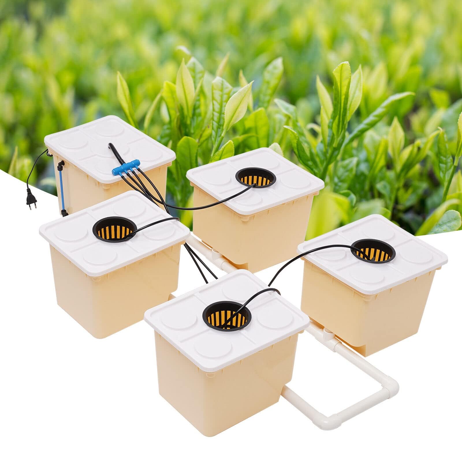 Sistema di coltivazione idroponica, DWC Grow System 5 Bucket Kit, Deep Water Culture Hydroponic System, Hydroponic Grow System Kit Sistema di coltivazione per interni acquatici