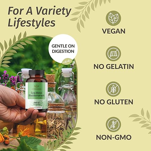 Miniatura 13 de HERBAMAMA Cápsulas de musgo marino irlandés, 1600 mg de musgo marino y vejiga para apoyo inmunológico, vegano, suplemento de inmunidad sin OMG