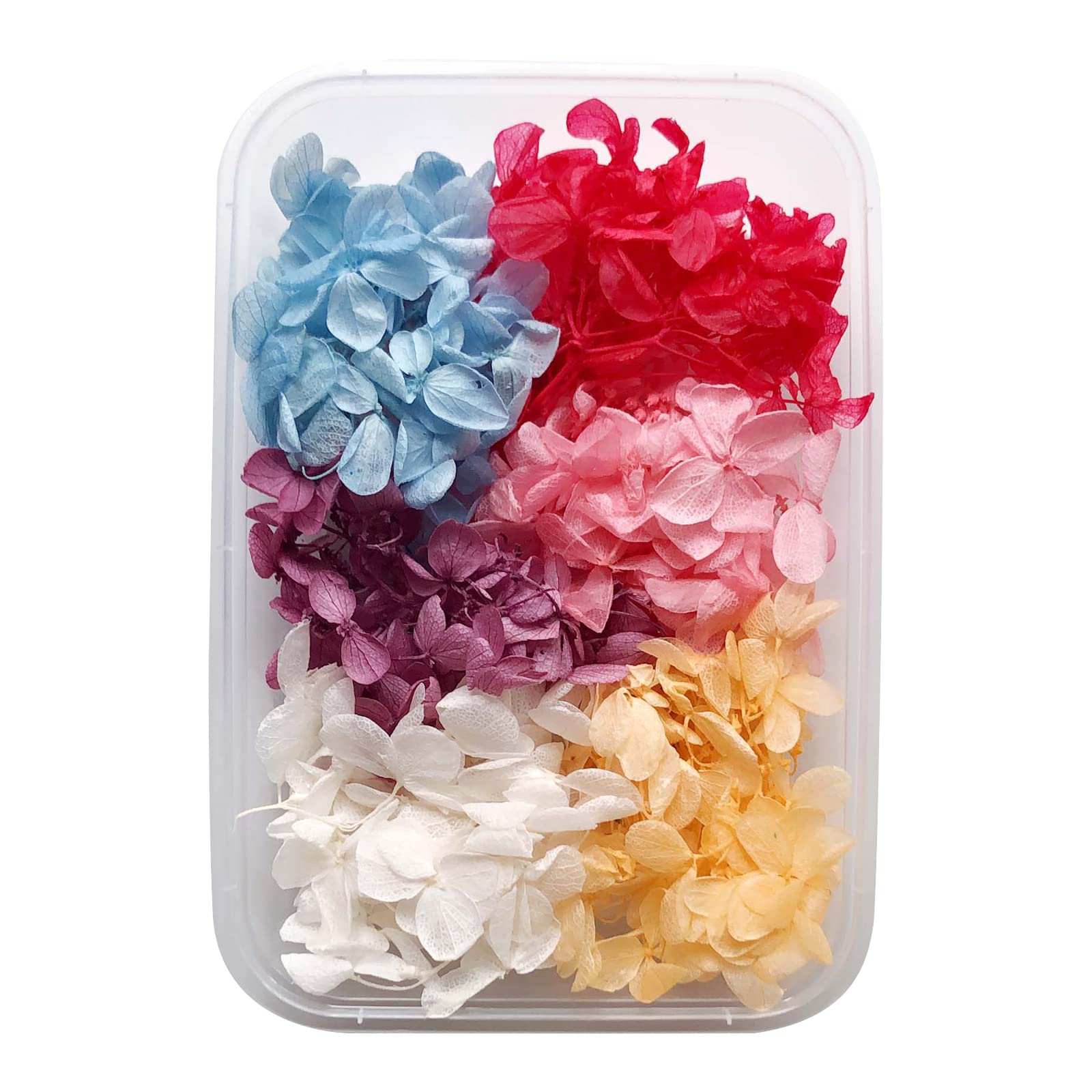 BELUAPI Real Dried Pressed Flowers Leaves Petals for Crafts,Eucalyptus Daisy Hydrangea Fern Leaves Gypsophila Chrysanthemum Rose Mixed Multiple Assorted Dried Flowers