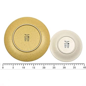 ライオン頭部デザインの金属製プレート 2個セット！ ライオン頭部デザインの金属製プレート 2個セット！ ライオン頭