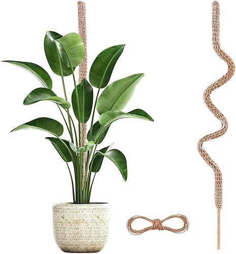 Poste de musgo, postes de coco natural, 1 paquete de postes de musgo flexibles de 63 pulgadas, forma de bricolaje, soporte de plantas para plantas