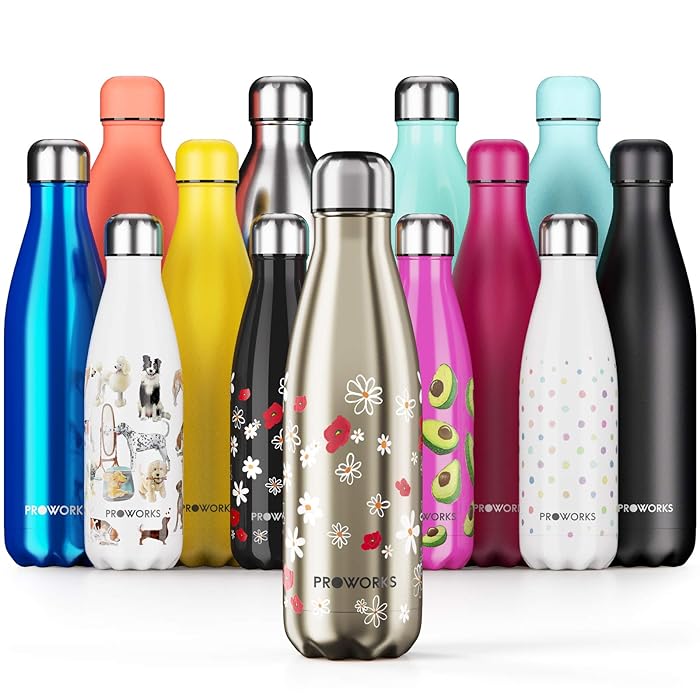 Buy Proworks Stainless Steel Water Bottle, BPA Free Vacuum Insulated