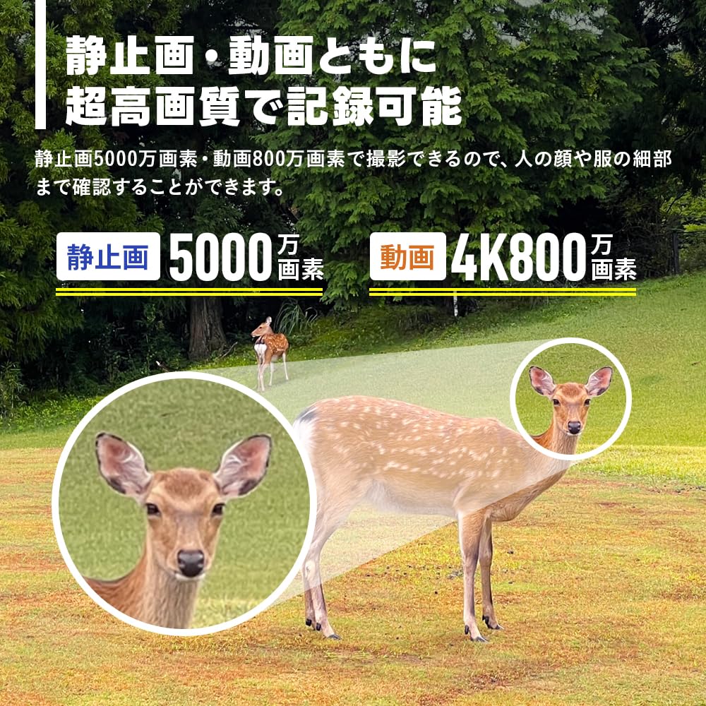 Amazon.co.jp: WTW 塚本無線 トレイルカメラ 熊 害獣 防犯カメラ 監視