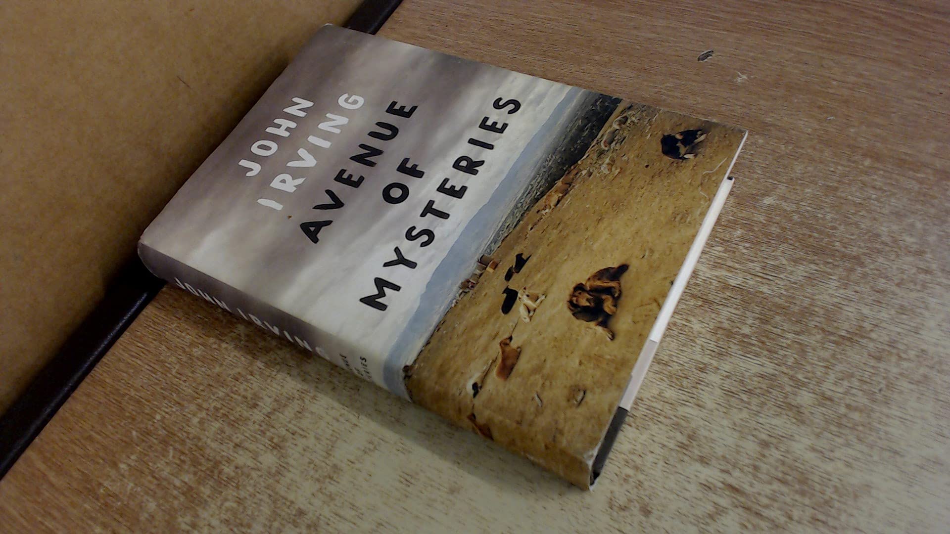 Buy Avenue of Mysteries — BookShops.in