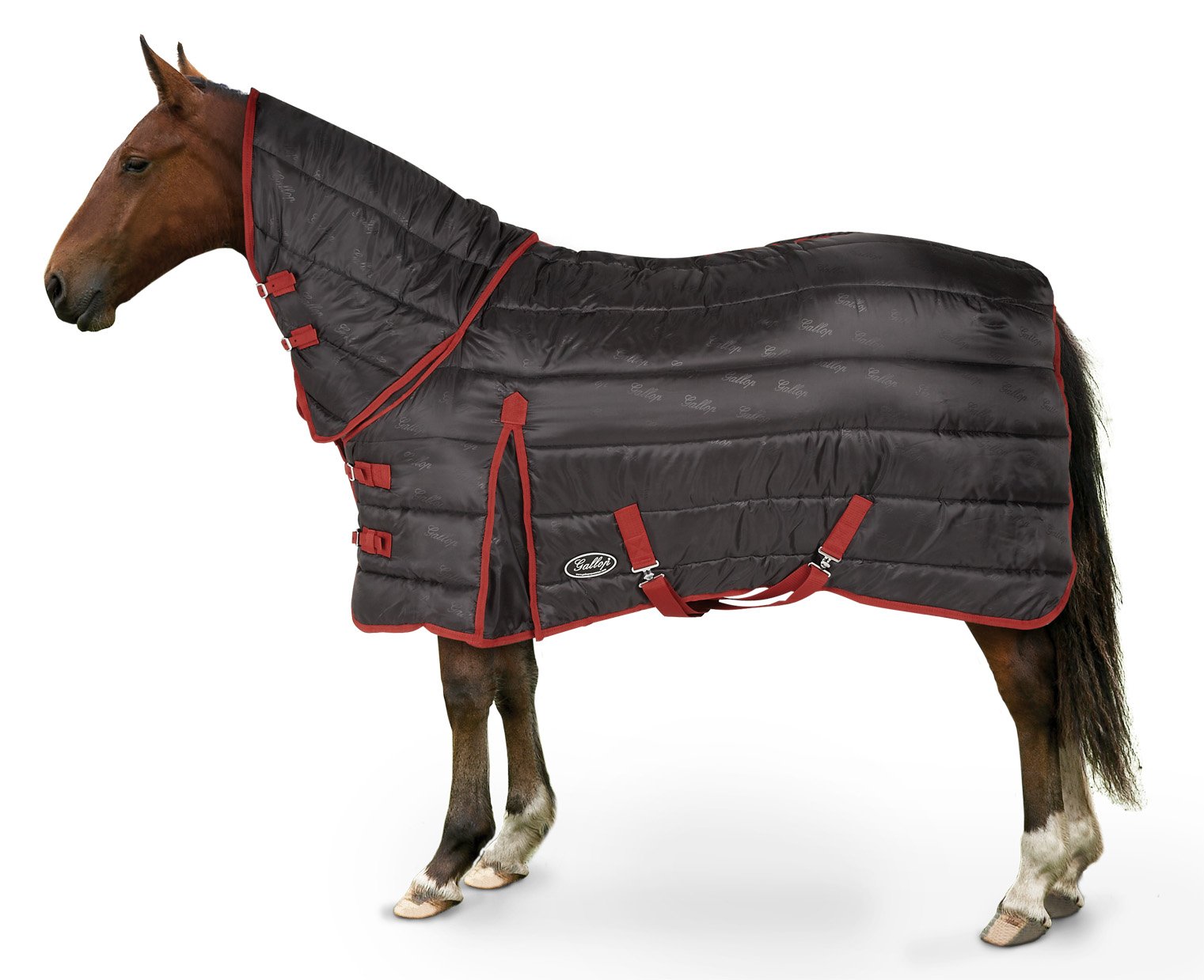 Tapis écurie Galop Trojan Tapis D'écurie Galop Trojan 300 G - Taille 5'6'', Noir, Lourd, Combo Col Complet équipement Cheval Box Hiver Galop Tapis écurie Galop Trojan Tapis D'écurie Galop Trojan 300 G - Taille 5'6'', Noir, Lourd, Combo Col Complet équipement Cheval Box Hiver Galop