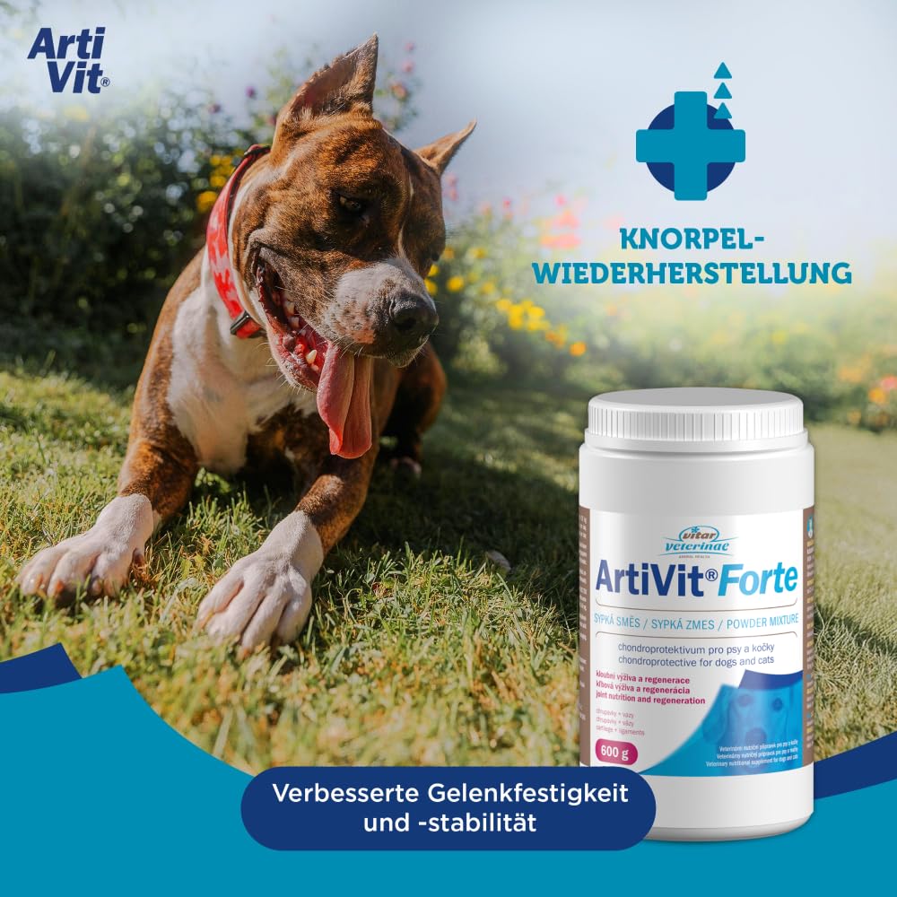 Artivit Forte Gelenk Pulver für Hunde & Katze - mit Glucosamin Chondroitin Hochdosiert und Vitamin C, Wirkstoffkomplex MSM & Hyaluron, gelenk- und knochenschutz, kollagen hund, gelenkschmerzen - 600 g