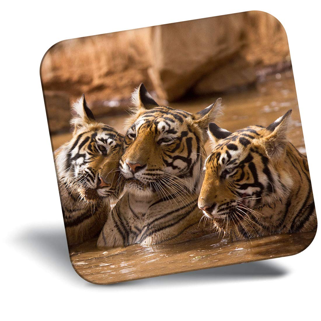 Destination Vinyl ltd Fridge Magnet - Tiger Family Big Cat 16512