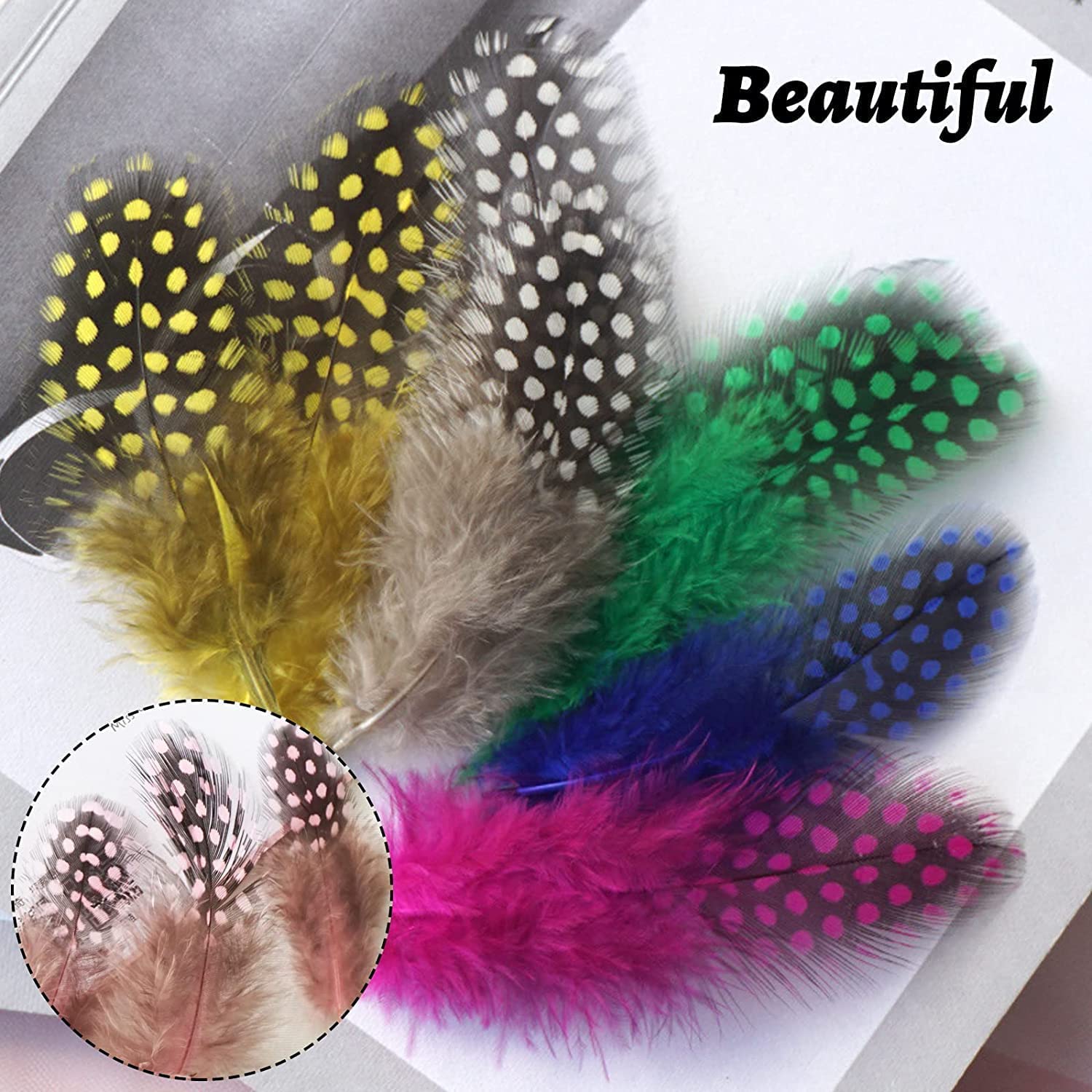 Amazon | 天然 羽根 ガチョウ ホロホロ鳥 羽 フェザー 鳥の羽根