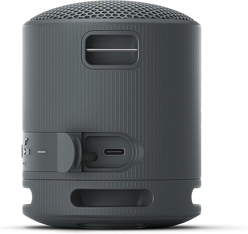 Miniatura 4 de Sony SRSXB100B Reproductor de MP3 portátil Sistemas de altavoces inalámbricos Negro
