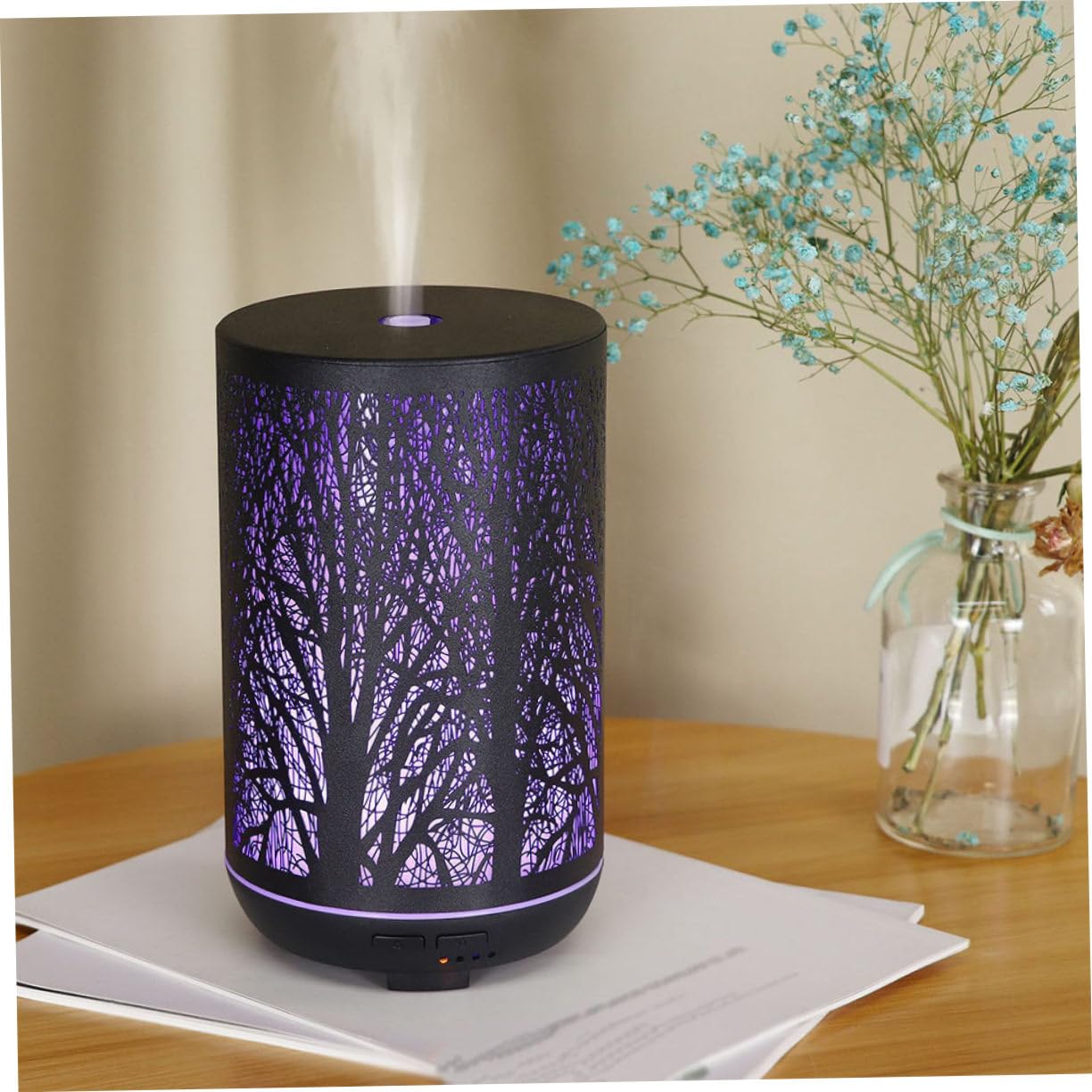 Aromatherapie Diffusor 300ml aus Eisen in Schwarz für Zimmer