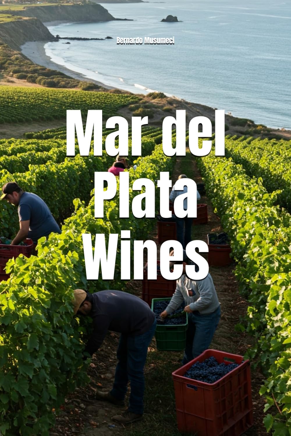 Mar del Plata Wines (Wines of the World: Argentina)