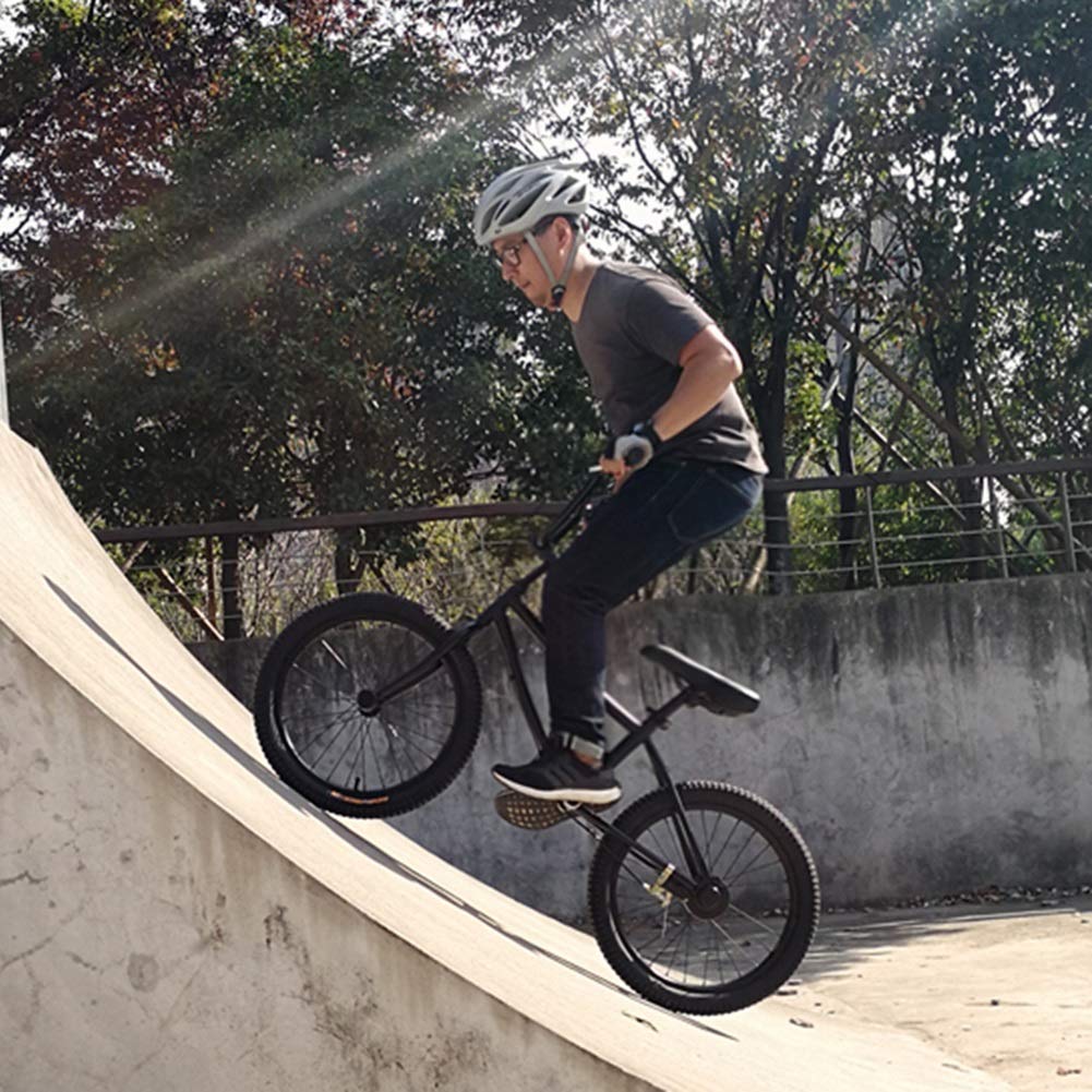 Draisienne sans pédale pour Adultes et débutants, vélo d'entraînement réglable avec Frein à Main et Roues de 20 Pouces, Charge maximale 100 kg