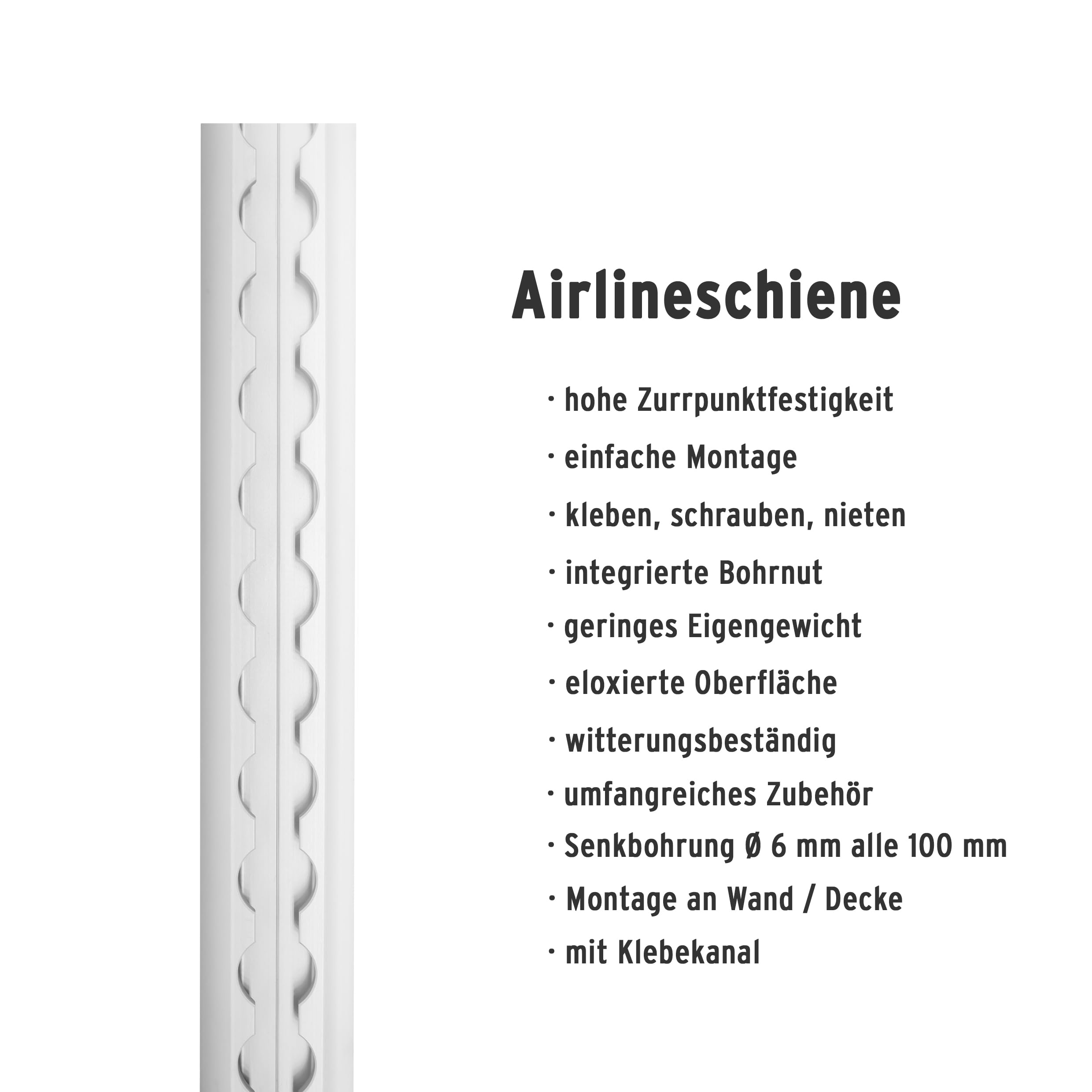 Airlineschiene halbrund: 42 x 9,5 mm, 2.000 mm, 2er Set | Zurrschiene | 200 cm | kompatibel mit Fittingen | Silber eloxiert | für Transporter, Wohnwagen, Sprinter UVM. | Aluminium | 2 m