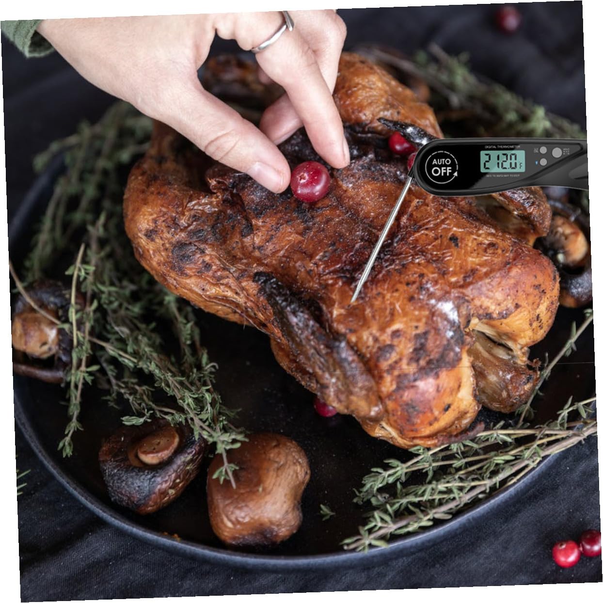 1 Pc Termómetro De Barbacoa Termómetro Para Carne Freír Termómetro De Alimentos Parrilla De Comida Termómetro Digital Termometro Para Carnes Abdominales Black