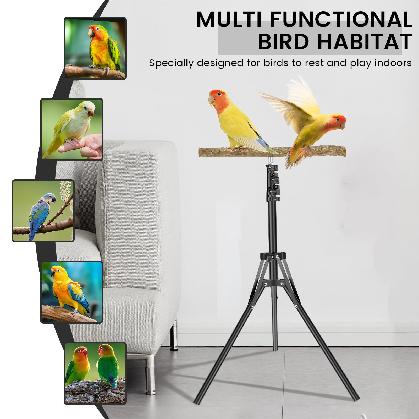 Parrot Training T Stand 16 inches to 63 inches Height Adjustable