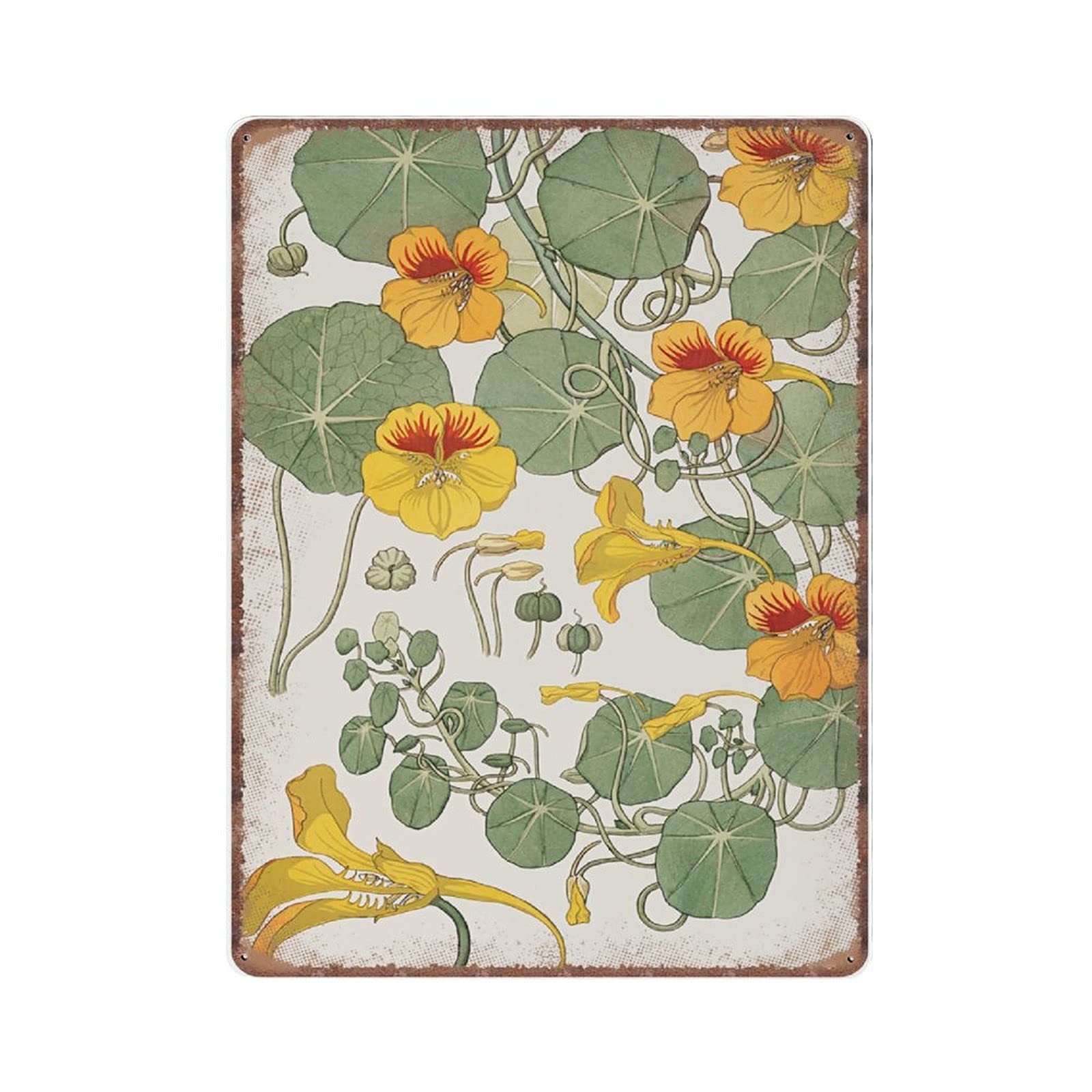 Daiercy Material_tin 6 Nasturtium Tin Signs, French Botanical Funny Vintage Metal Sign Plaqu Poster Wall Art Pub Bar Kitchen Garden Bathroom Home Decor, 30X40 Cm