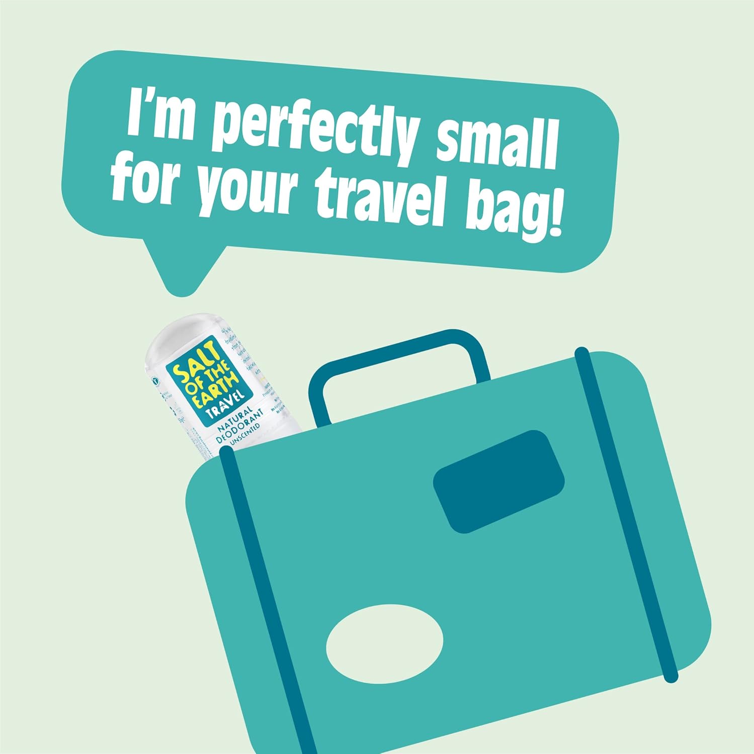 SALT OF THE EARTH Travel Deodorant, 50 GR : Beauty & Personal Care