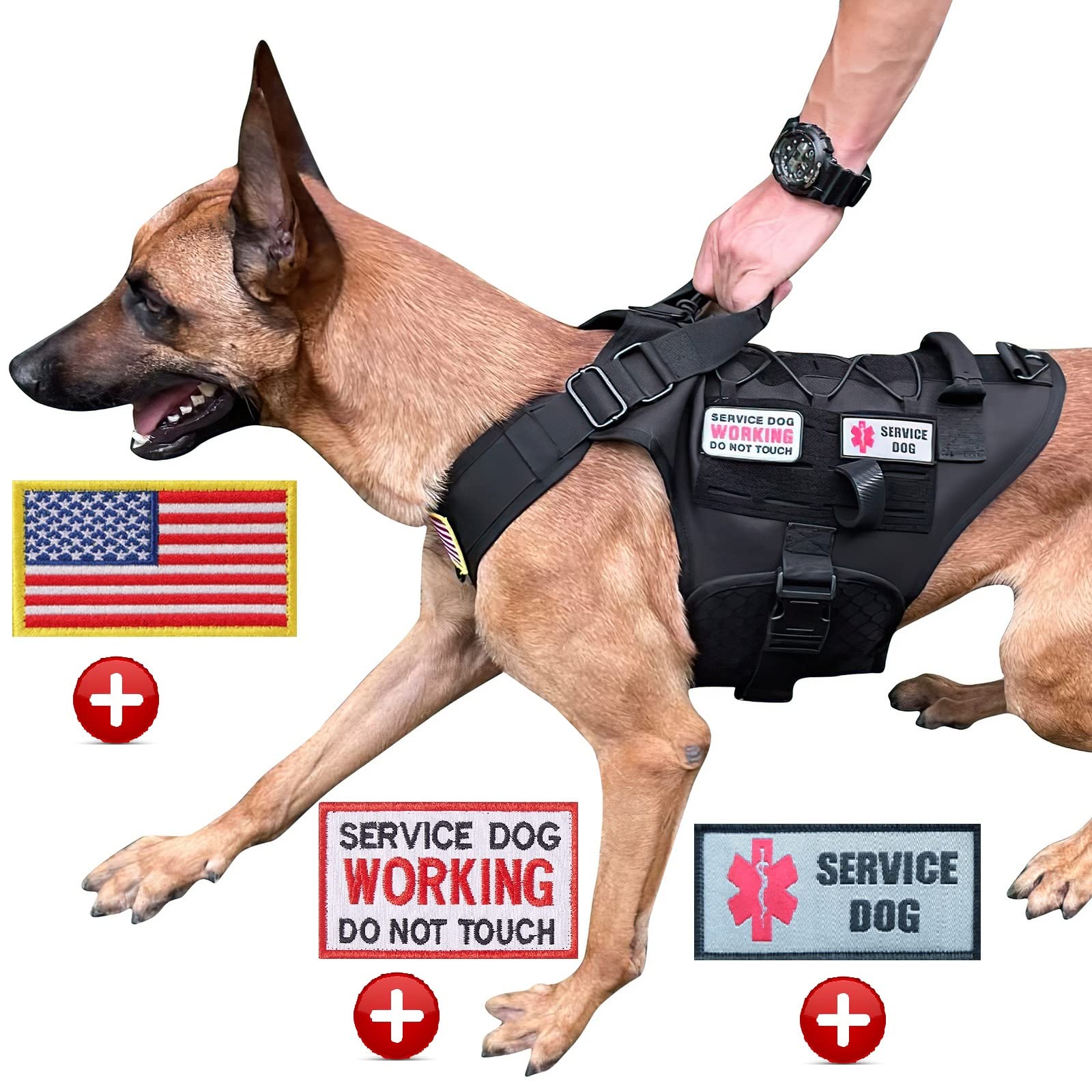 Is A Police K9 Considered A Service Dog