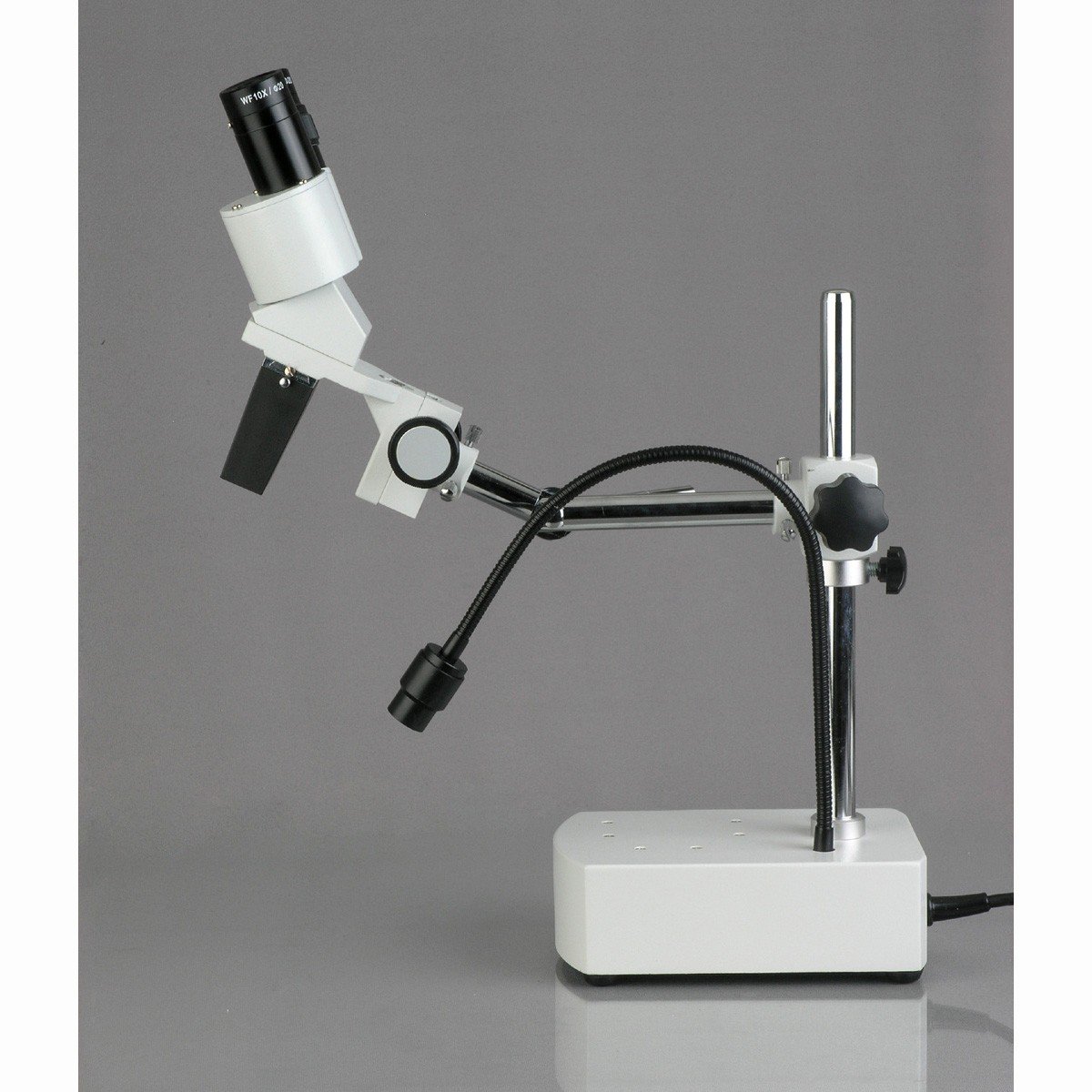 Buy AmScope SE400X Professional Binocular Stereo Microscope, WF5x and