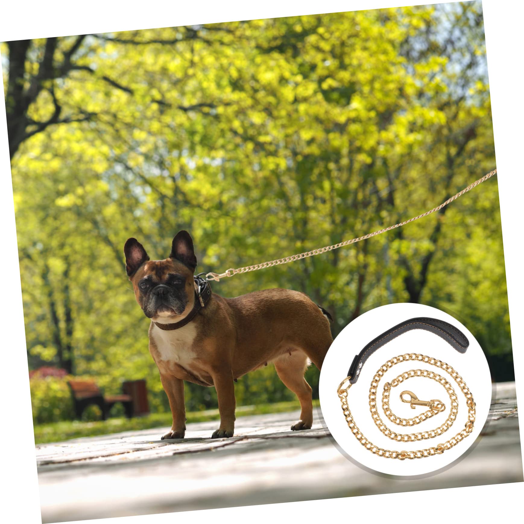 Guinzaglio Camminata in Acciaio per Cani Controllo Dorato Inox