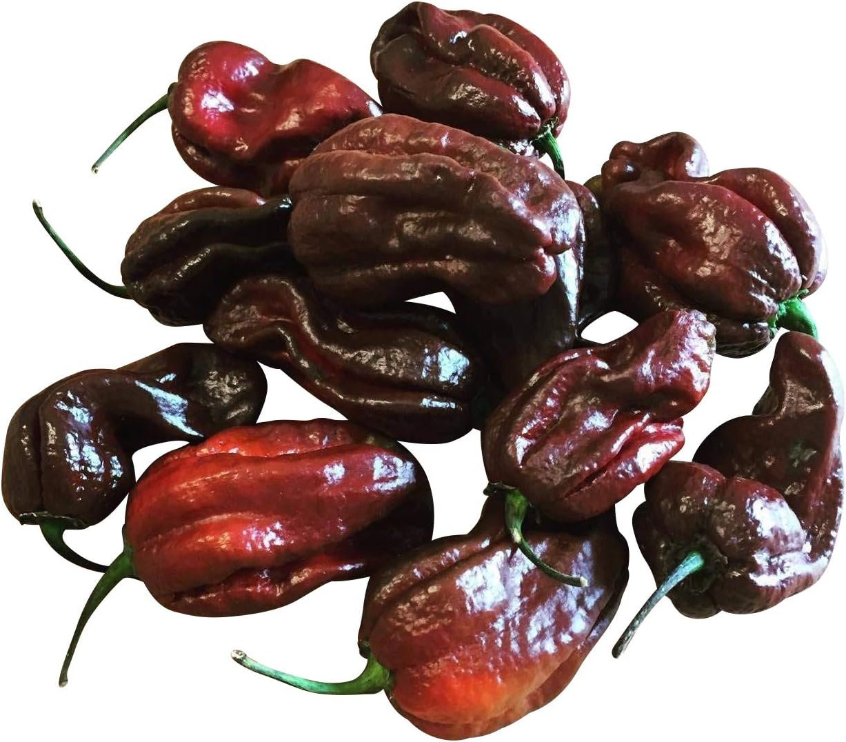Inferno Peppers - Piments Frais, Graines Et Plants De Piments