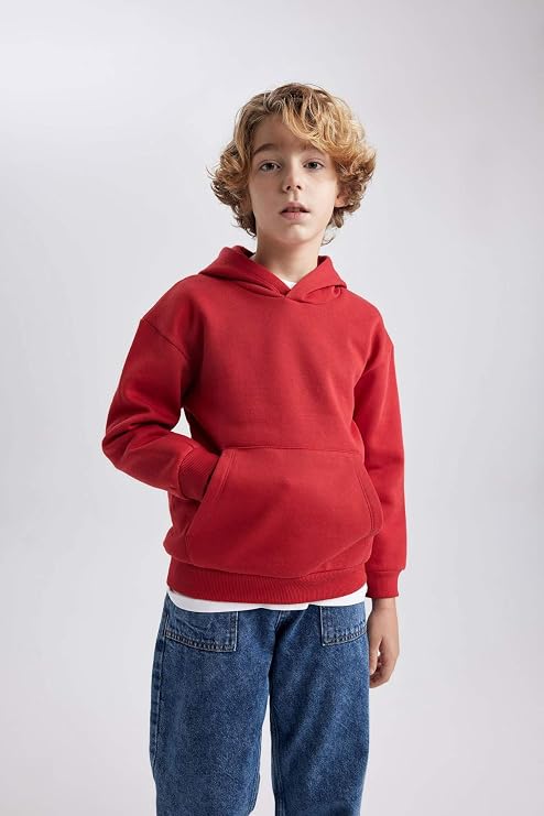 DeFacto Boys' Regular Fit Hooded Sweatshirt
