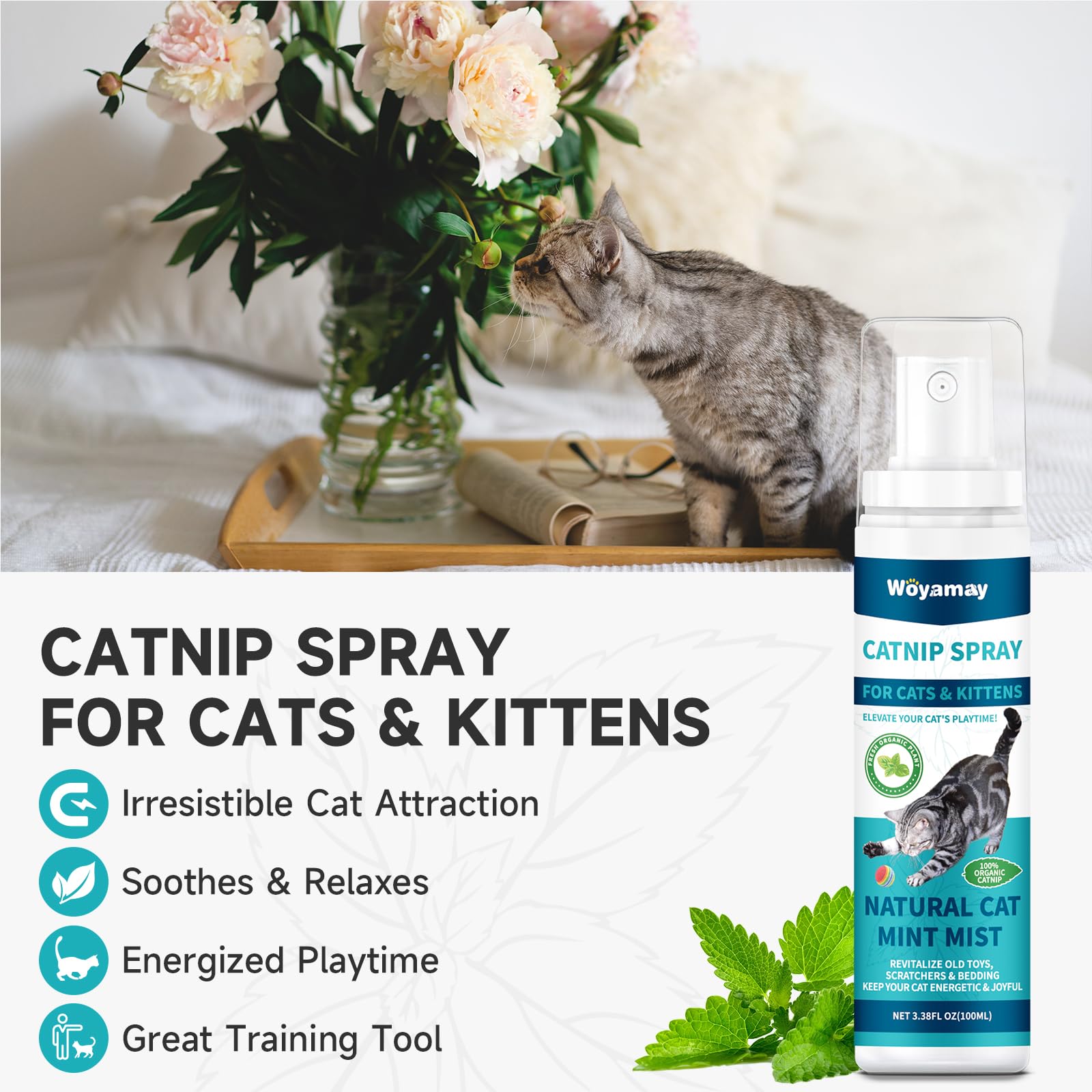 Indoor Bike Cycling Trainer Exercise Stand Bike Trainer Stand