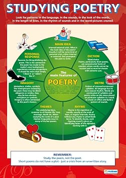 Daydream Education Studying Poetry English Literacy Classroom Poster - EXTRA LARGE 33 x 23.5 - Gloss Paper - English Literature Middle & High School Class Decor - Wall Charts