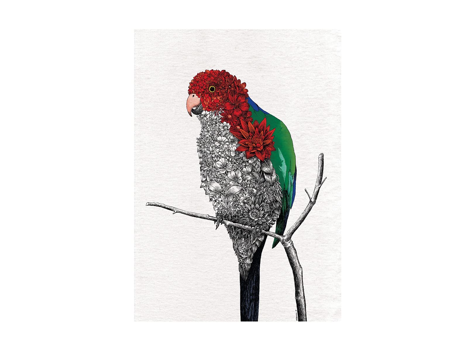 Maxwell & Williams Marini Ferlazzo Australian King Parrot Tea Towel Multi