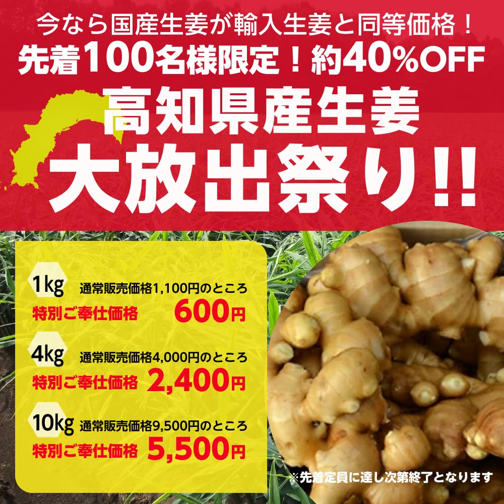 食品 赤生姜 しょうが 種 1kg 高知県産
