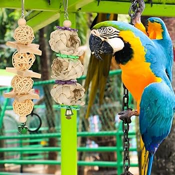 Amazon | Aidiyapet バードトイ 鳥おもちゃ オウムブランコ 鳥
