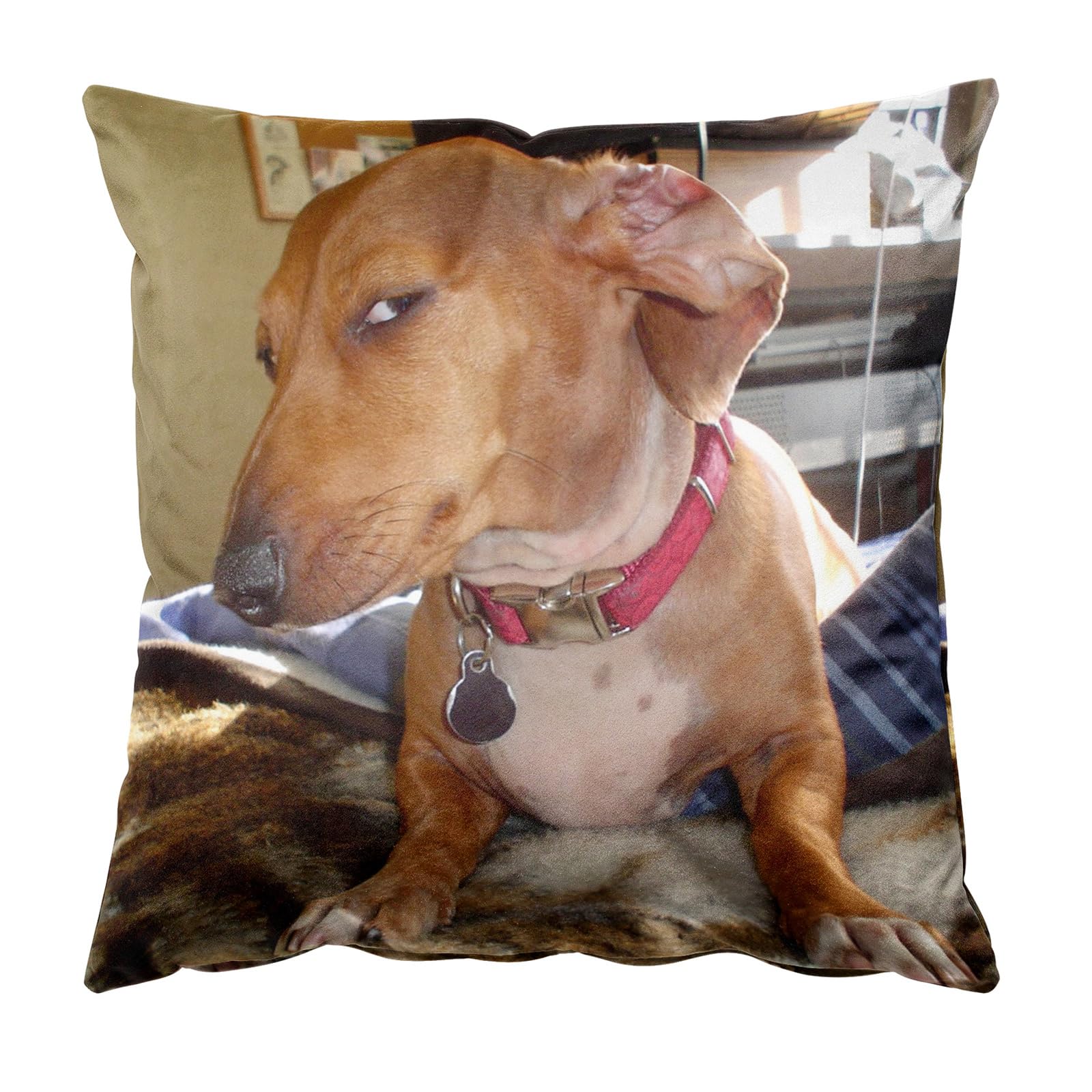 Suspicious, Sus, Side Eye, Giving Side Eye, Dachshund Dog, Funny Meme Square Throw Pillow Case Cushion Cover Pillowcase 18'' x 18'' (45cm x 45cm)