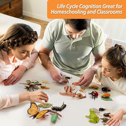 Miniatura 6 de Montessori - Figuras de ciclo de vida de animales, juguetes educativos en miniatura de plástico, 6 unidades, a partir de 3 años