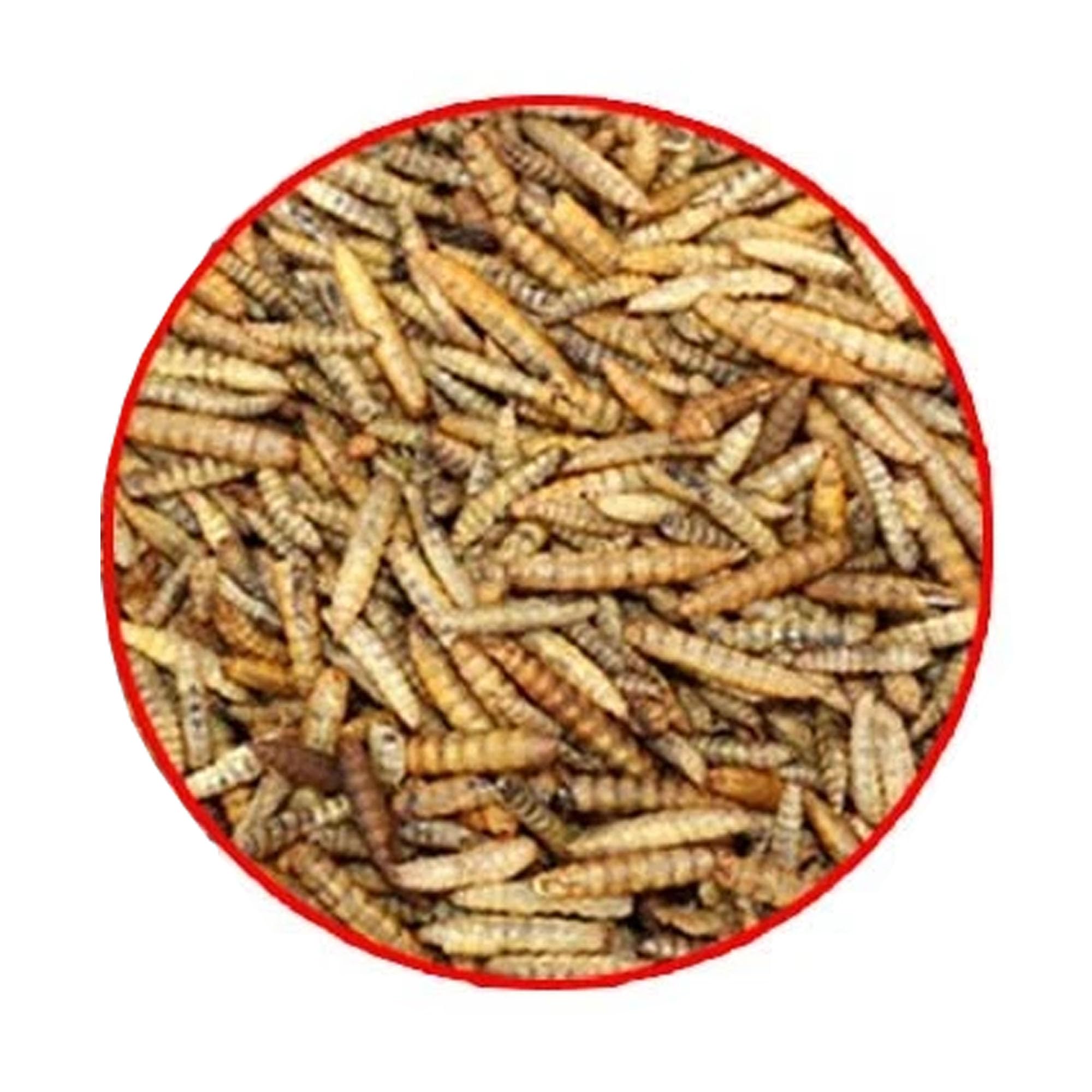 Ambiopet Soldatenfliegenlarven (Hermetia) getrocknet 5kg Packung, Black Soldier Fly, Protein- und fettreiches Wildvogelfutter, reich an Calcium und Laurinsäure - 4