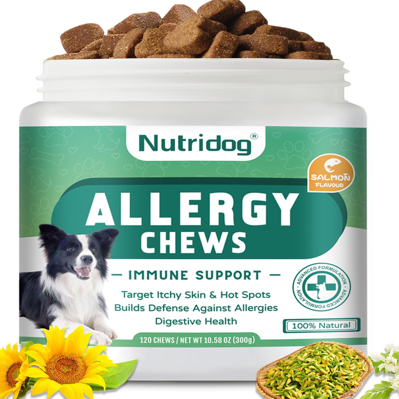 Nutridog Dog Allergy Chews 120 Count - Salmon Flavor Allergy & Itch Relief with Quercetin, 300M Probiotics | Immune Support for Itchy Skin, Hot Spots