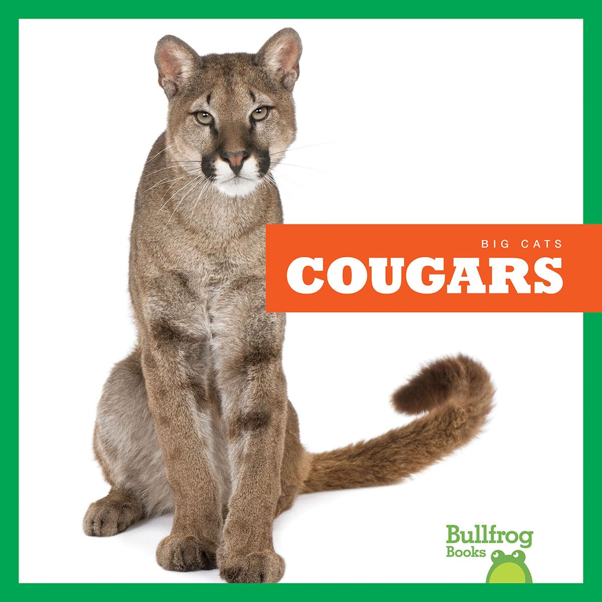 Cougars (Bullfrog Books: Big Cats): Marie Brandle: 9781645277194 ...